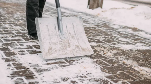 Фото: stock1000/Shutterstock/Fotodom