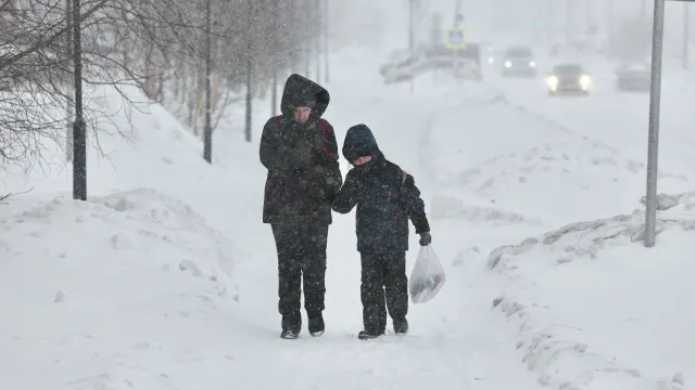 Фото: Андрей Ткачёв / «Ямал-Медиа»