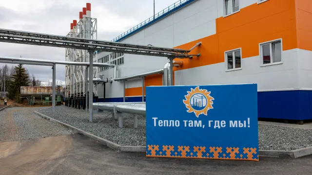 Фото: Сергей Зубков / «Ямал-Медиа»