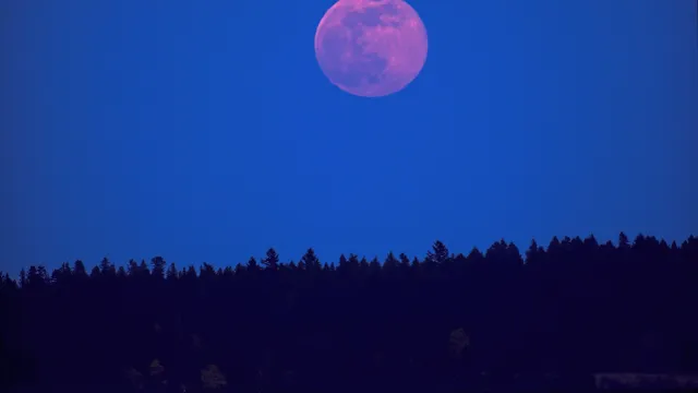 Фото: pr2is/Shutterstock/Fotodom