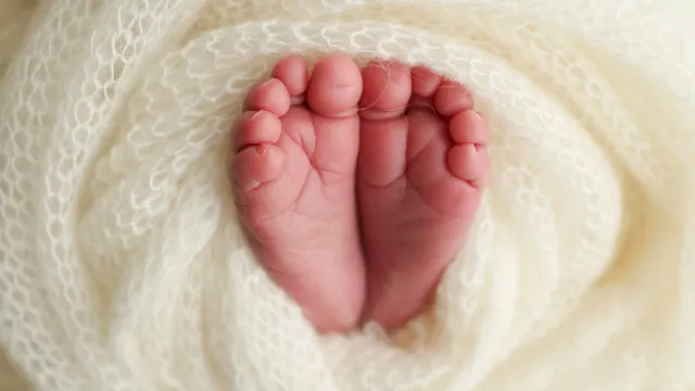 Фото: Vad-Len/Shutterstock/Fotodom