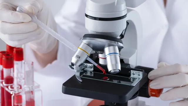 Фото: Inna Dodor / Shutterstock / Fotodom