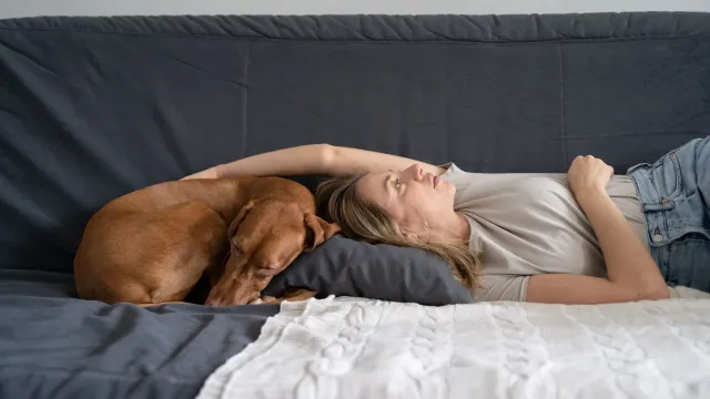 Фото: DimaBerlin/Shutterstock/Fotodom