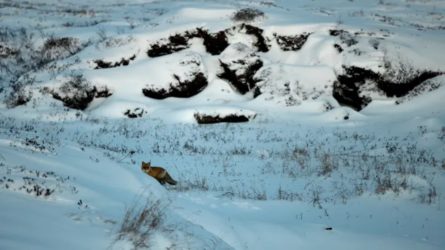 Фото: Сергей Зубков / Ямал-Медиа