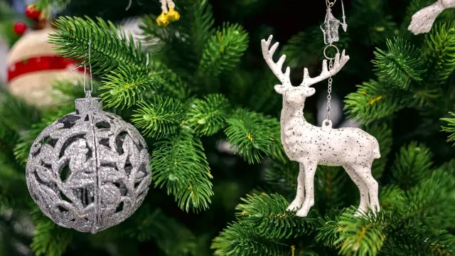 Фото: Андрей Ткачёв/«Ямал-Медиа»