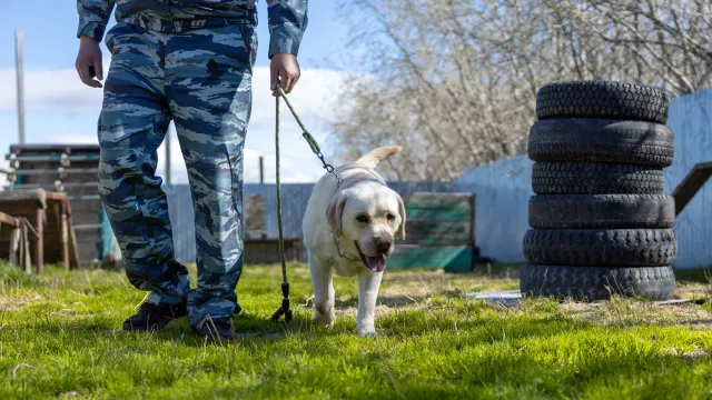 Фото: Фёдор Воронов / "Ямал-Медиа"