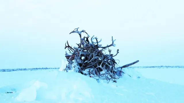 Сидяӈг: Марина Яройʼ тадтавы