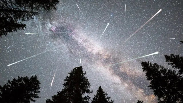 Фото: Belish / shutterstock.com / Fotodom