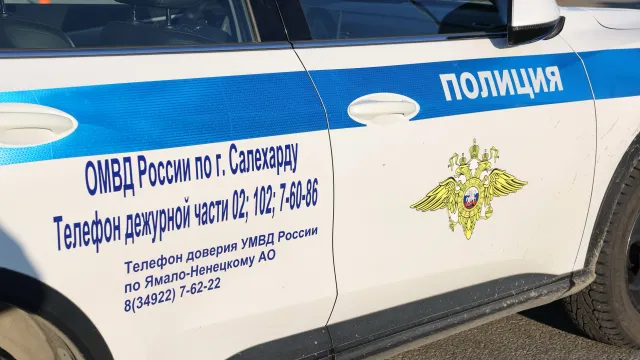 Фото: Андрей Ткачёв / «Ямал-Медиа»