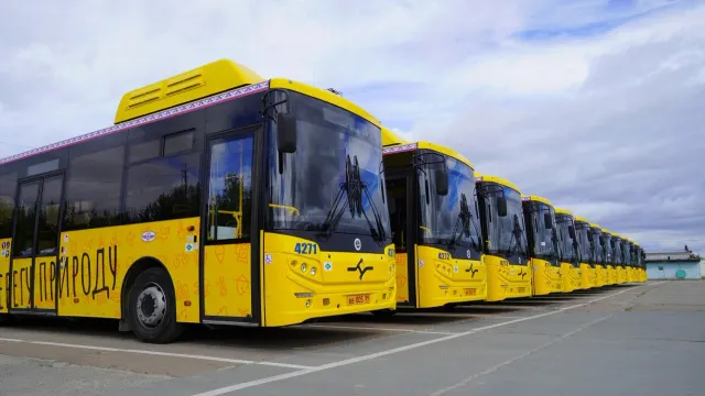 Фото: Юлия Чудинова / "Ямал-Медиа"