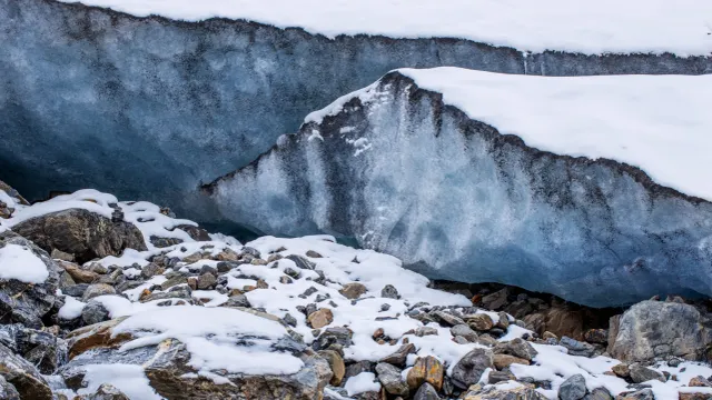 Фото: Trifonov Aleksey / Shutterstock / Fotodom