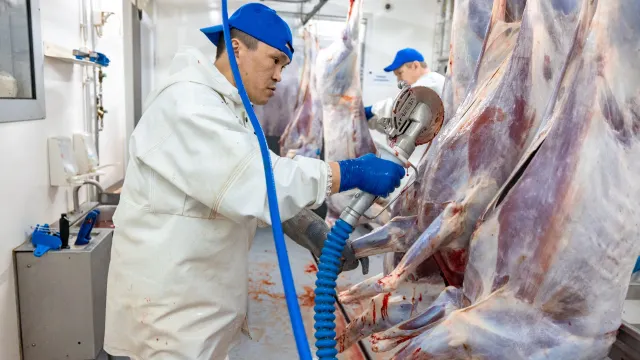 Фото: Сергей Зубков / «Ямал-Медиа»