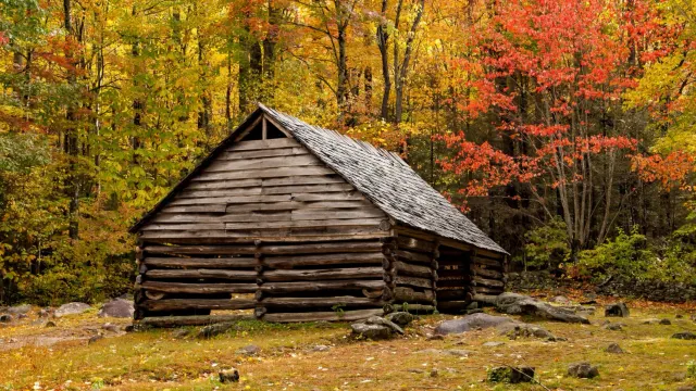 Фото: Bob Pool/Shutterstock/Fotodom