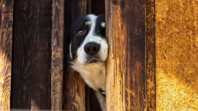 Фото: Фёдор Воронов / "Ямал-Медиа"