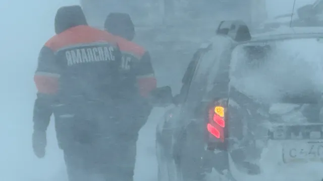 Фото: Вера Дронзикова / «Ямал-Медиа»