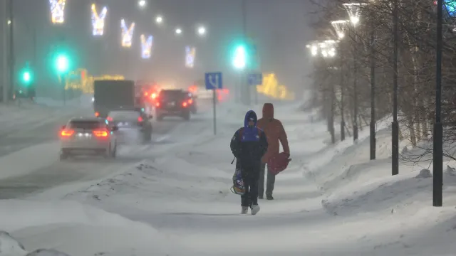Фото: Андрей Ткачёв / «Ямал-Медиа»