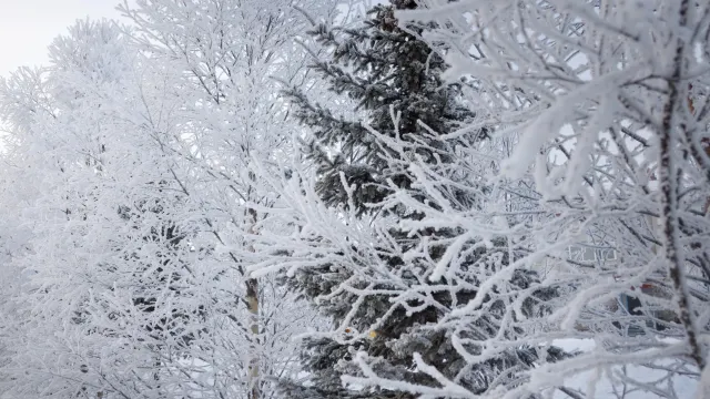 В день памяти Иоанна Златоуста отмечают народный праздник – Осенние зяби. Фото: Василий Петров / АНО «Ямал-Медиа»