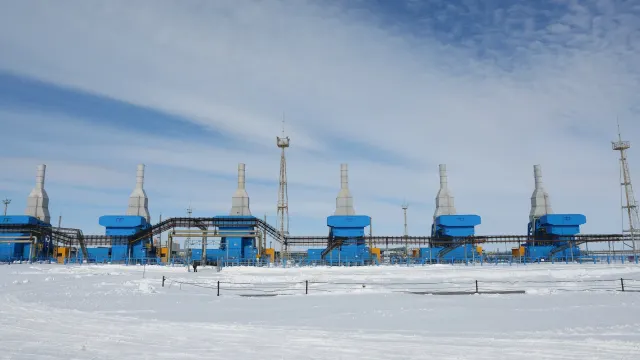 Фото: Андрей Ткачёв / «Ямал-Медиа»