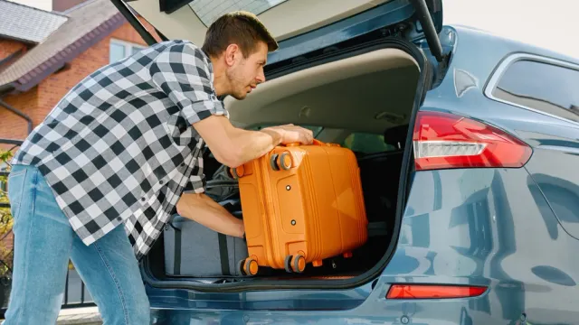 Фото: Lazy_Bear/Shutterstock/Fotodom