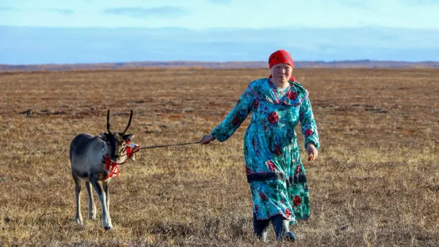 Фото: Василий Петров / «Ямал-Медиа»