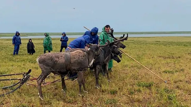 Фото: Татьяна Сэротэтто