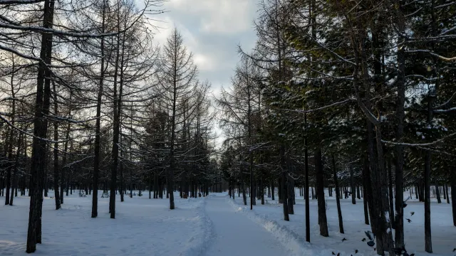 Фото: Сергей Зубков / «Ямал-Медиа»