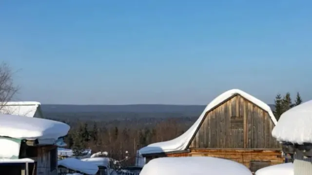 Фото: Сергей Зубков / Ямал-Медиа