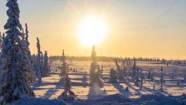 Белые просторы Ямала. Фото: Никита Погодин / «Ямал-Медиа»