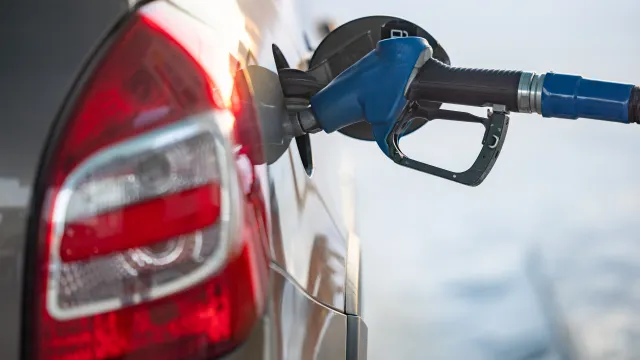 Фото: Сергей Зубков / «Ямал-Медиа»