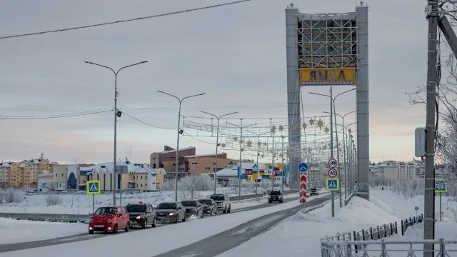 Фото: Сергей Зубков / «Ямал-Медиа»