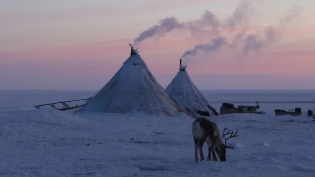 Фото: Марина Яр / Няръяна Нгэрм