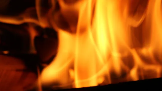 Фото: Rostyslav Tymchak / Shutterstock / Fotodom