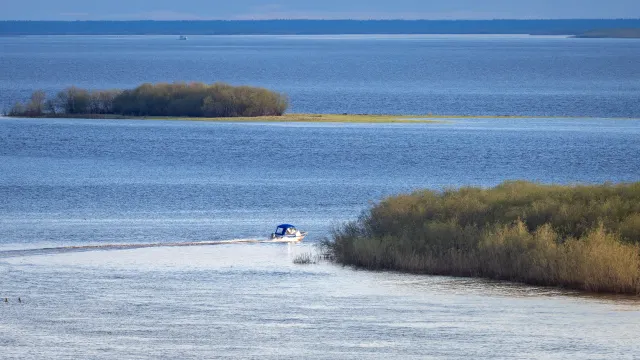 Фото: Фёдор Воронов / «Ямал-Медиа»