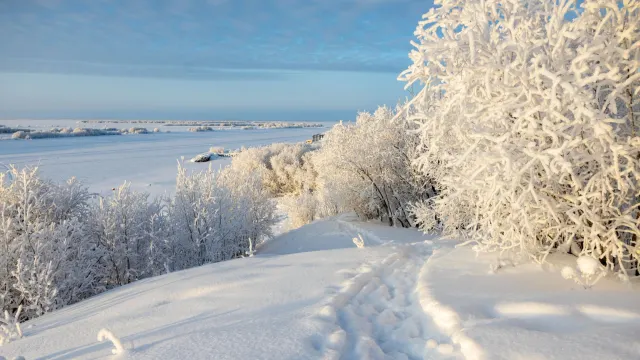 Фото: Фёдор Воронов / "Ямал-Медиа"