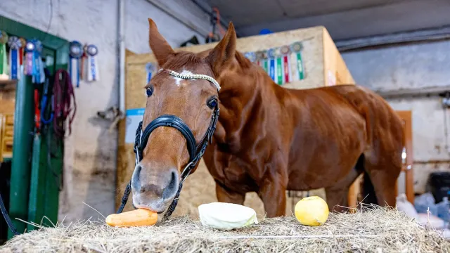 Фото: Юрий Здебский / "Ямал-Медиа"
