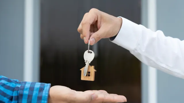 Фото: shisu_ka/Shutterstock/Fotodom