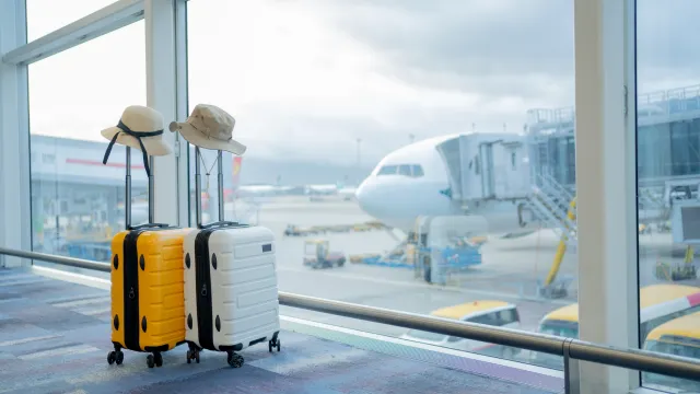 Фото: Kingmaya Studio / Shutterstock / Fotodom