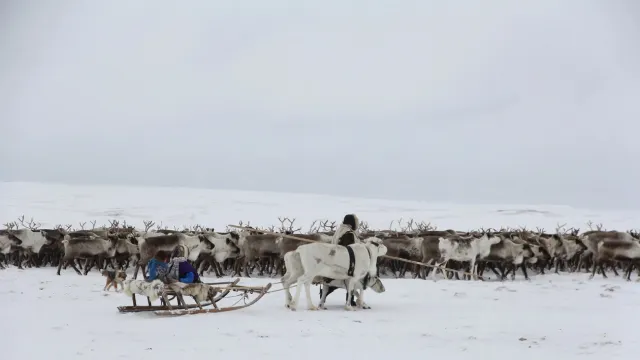 Сидяӈг: Марина Яр' тадтавы