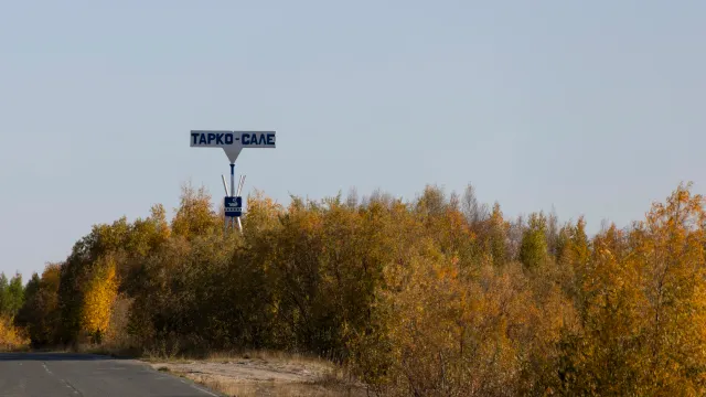 Фото: Андрей Понамарёв / «Ямал-Медиа»