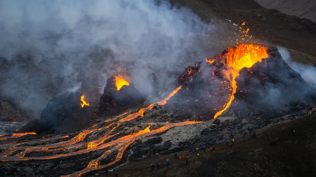Фото: DanielFreyr/Shutterstock/Fotodom