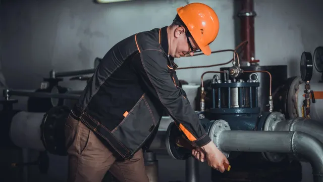 Фото: Vladimir Batishchev / shutterstock.com / Fotodom