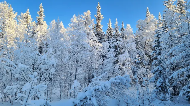 Фото: Diiaz Misbakhov / Shutterstock / Fotodom