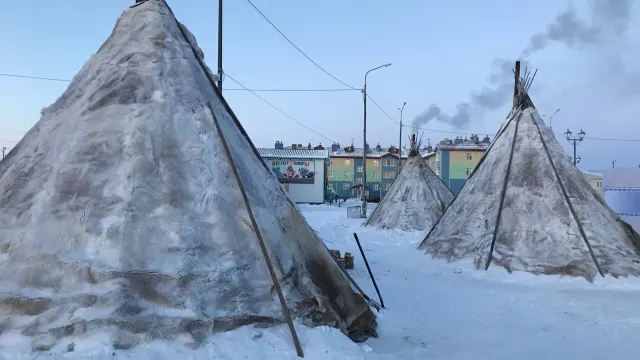 Фото: Анастасия Ульянова / "Ямал-Медиа"