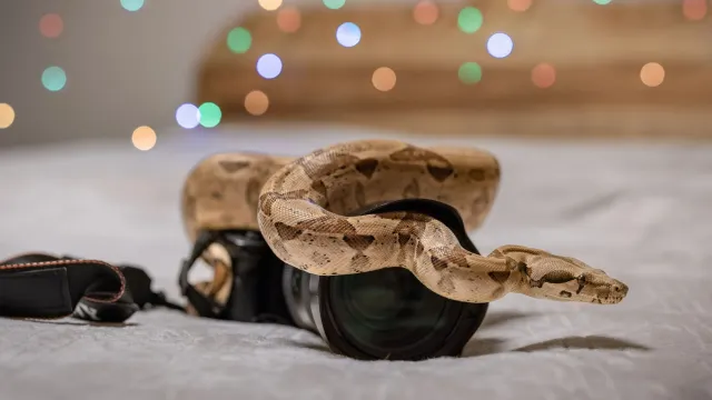 Безымянная. Фото: Сергей Зубков / «Ямал-Медиа»