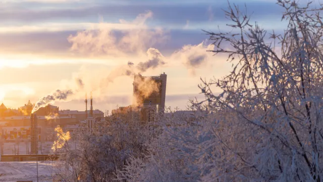 Фото: Фёдор Воронов / «Ямал-Медиа»