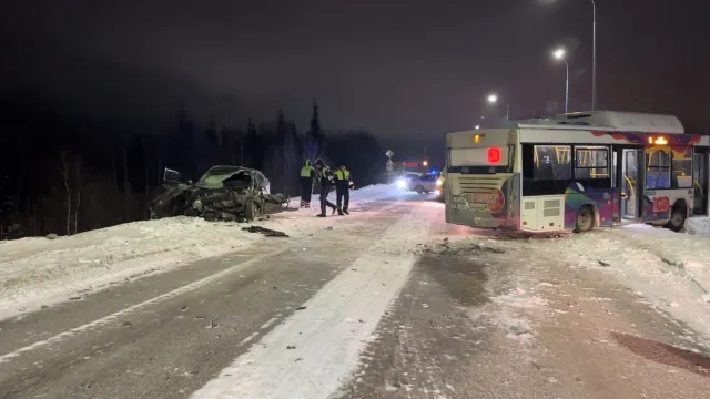 Фото: Вера Дронзикова / «Ямал-Медиа»