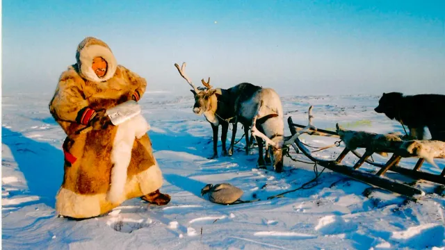 Сидяӈг: Хабэча Яунгадʼ тадтавы