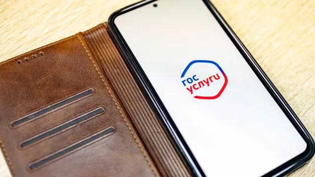 Фото: Сергей Зубков/«Ямал-Медиа»