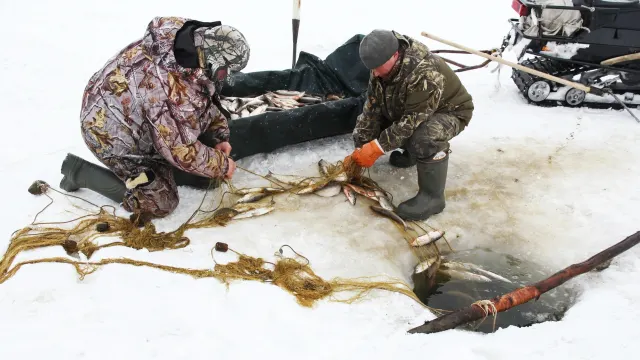 Фото: Марина Яр / Няръяна Нгэрм