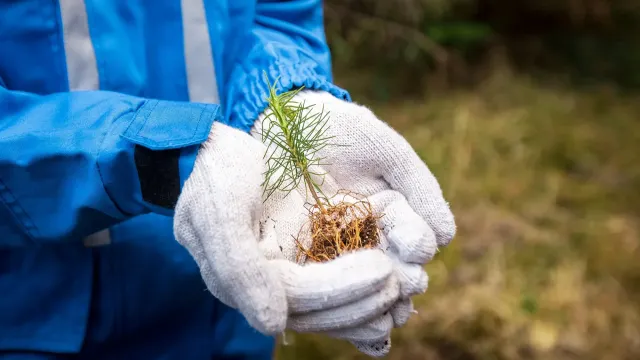 Фото: Андрей Рядькин
